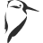 pictogramme oiseau hélios